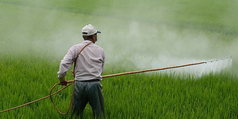 Giftige Pestizide immer noch im Einsatz. Foto: Pixabay