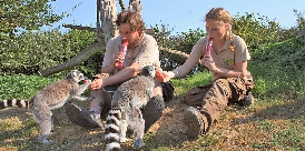 Freizeitpark Thüle