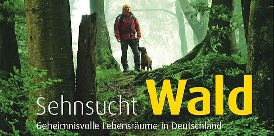 Sehnsucht Wald1
