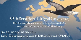 Gottesdienst Zugvögel