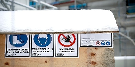 IG Bau Winter
