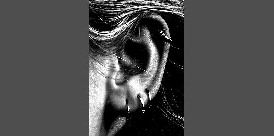 Piercing GUV