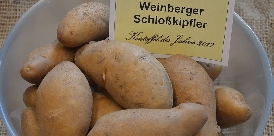 Weinberger Schloßkipler 023-Kartoffel des Jahres