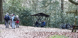 Ein Spaziergang durch das Barneführer Holz ist immer wieder ein Hochgenuß für einzelne Wanderer oder auch Gruppen ... Bild: Landesforsten waldausfluegler_barnefuehrer_holz_landesforsten