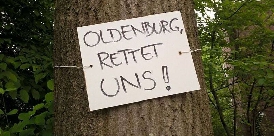 Bauminitiative