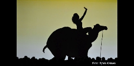 Amazing Shadows 1