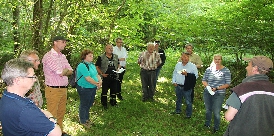 Gesichter des Waldes - Vortrag für Gruppe im Wald Gesichter des Waldes