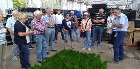 Kirchhatter im Papenburger Gartenbaubetrieb 0901-papenburg