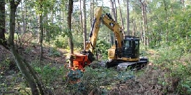 Waldumbauarbeiten 0906-wald