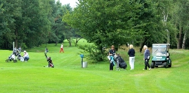 Golfer beim Benefiz-Turnier in Dingstede 0927-golf