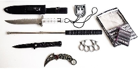 HZO Waffen teaser