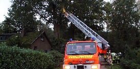 Feuerwehr Dötlingen im Einsatz 1004-Baum1