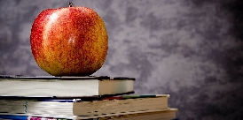 Wohlfahrtsverbände wie Caritas und Diakonie fordern mehr Unterstützung für Schüler. Foto: Pixabay Buch Apfel