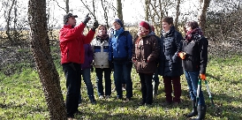 Teilnehmer erhalten Einweisungen in den Obstbaumschnitt (Foto: Heide Behrens) 0323-obst