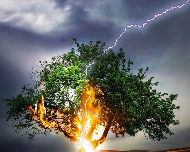 Blitzeinschlag Baum. Bild Ella Pixabay