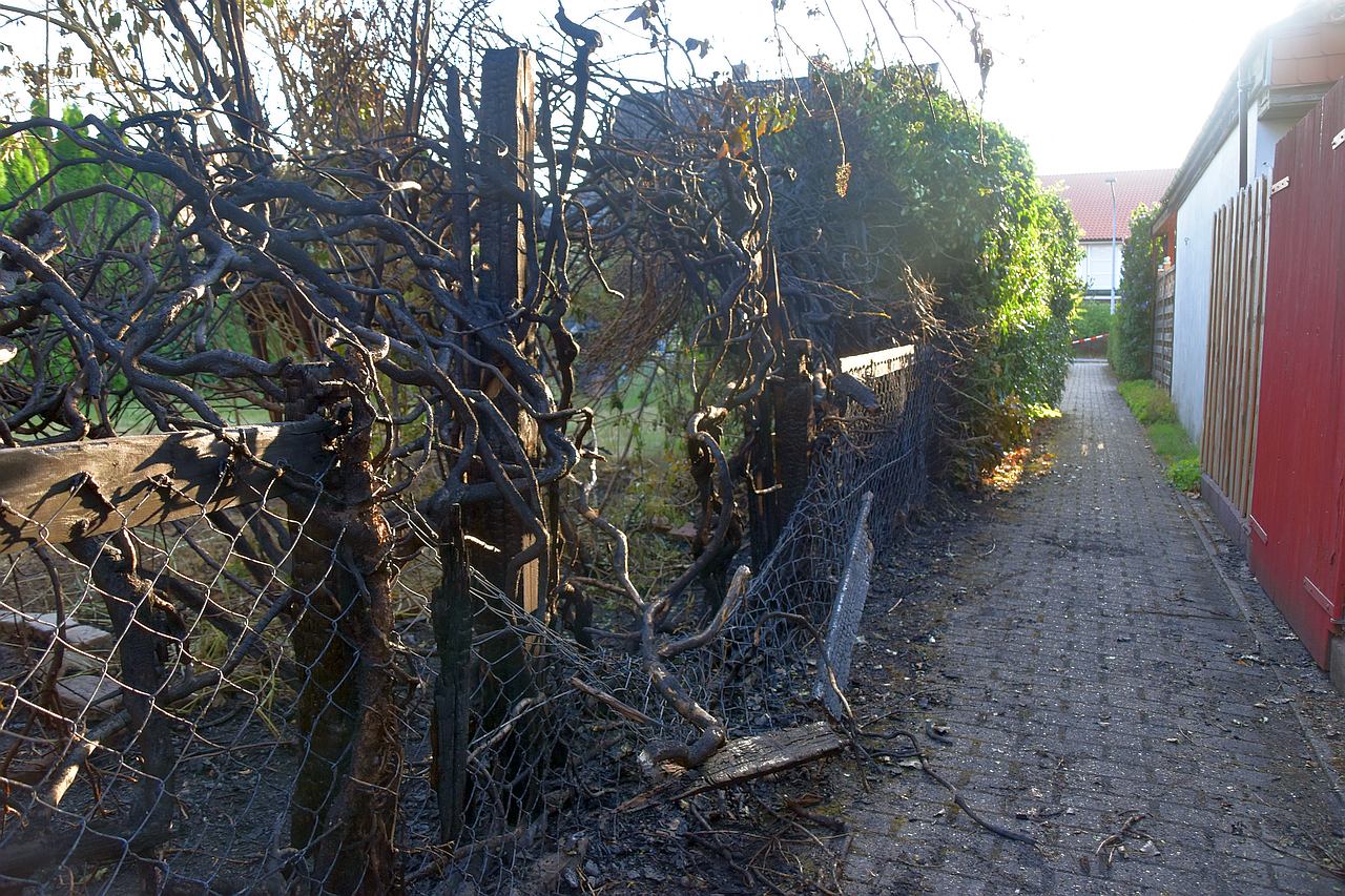 Einen Sachschaden von ca. 5.000 Euro hat der Heckenbrand am Pfad zwischen Schulweg und Breslauer Straße in Wardenburg hinterlassen. Foto Uta Grundmann-Abonyi www.landkreis-kurier.de heckenbrand_wardenburg_foto_landkreis-kurier_zeitung_redaktion_grabo